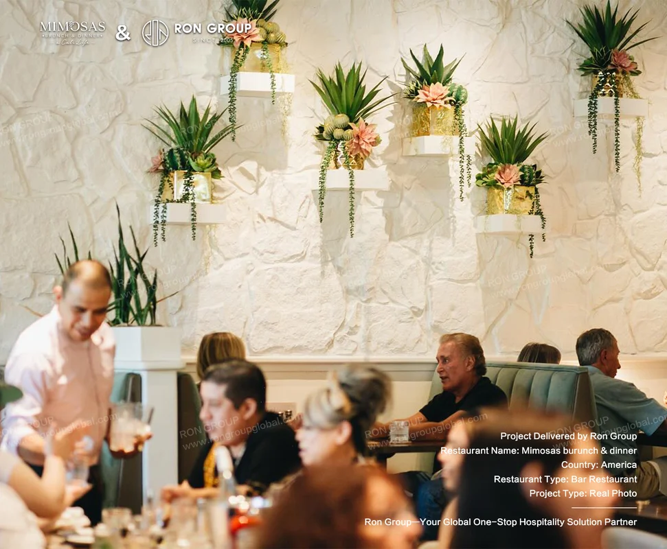 Mimosas stone wall with hanging plants