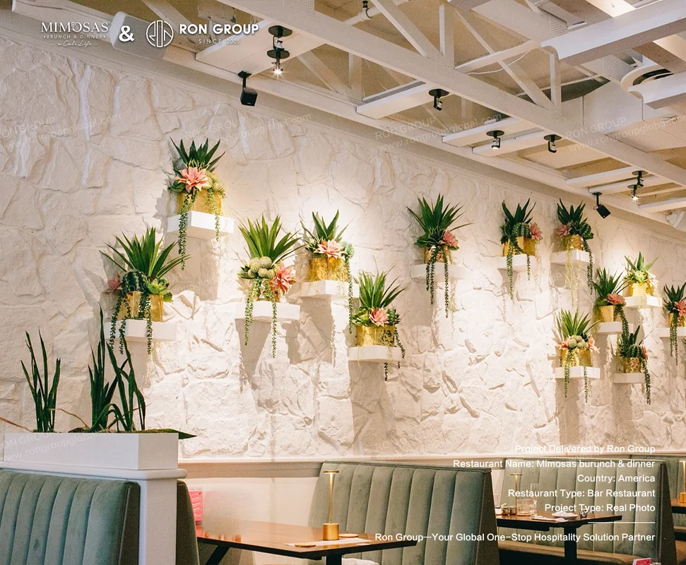 Mimosas white stone wall with plants
