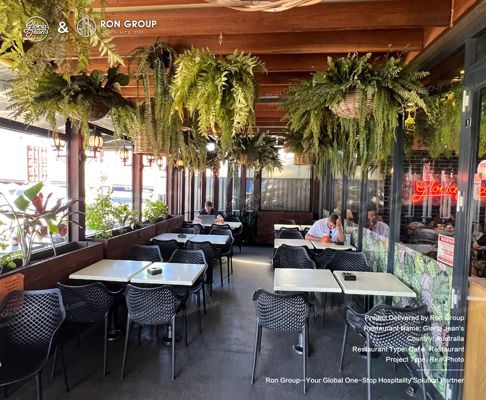 Hanging green ferns in the Gloria Jean's interior