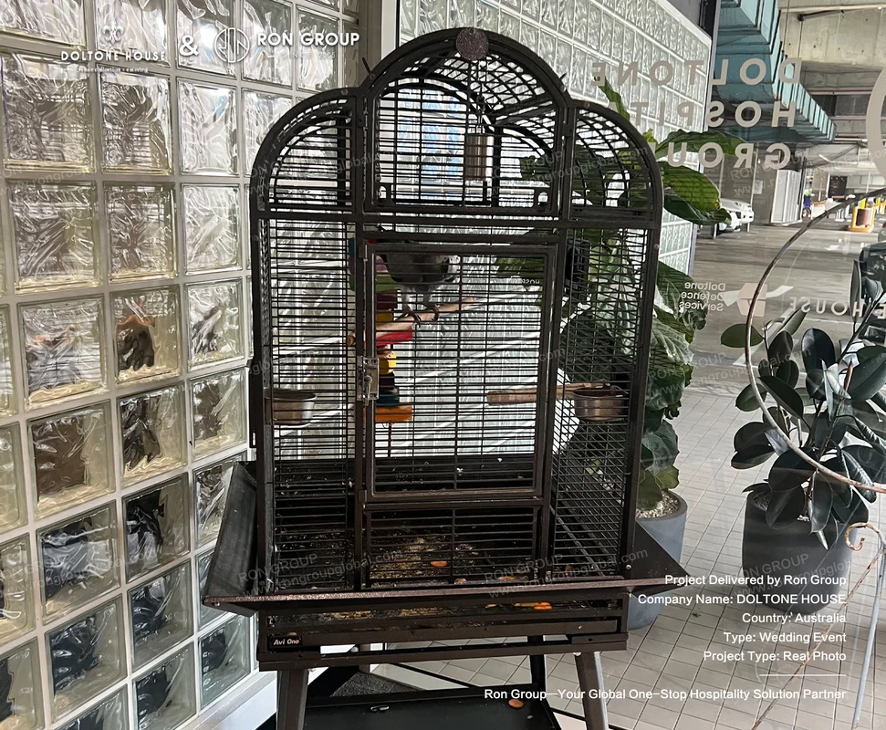 Custom black metal arched decorative birdcage installation in Doltone House foyer