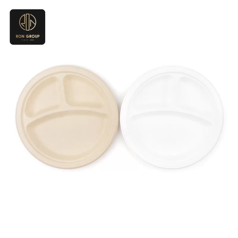 Sugarcane Pulp Paper Bowl Series D