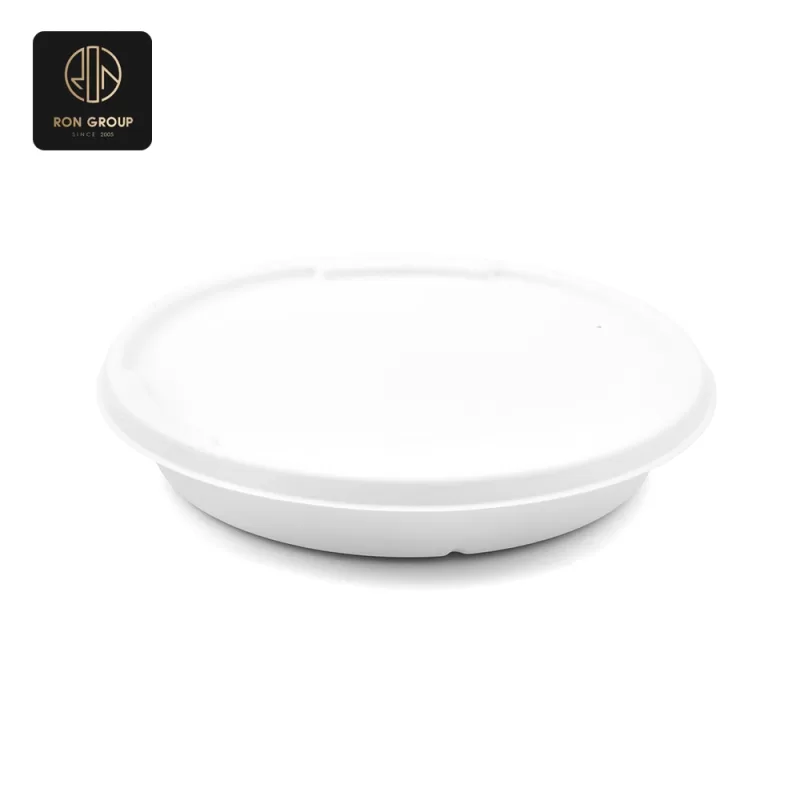 Sugarcane Pulp Paper Bowl Series B