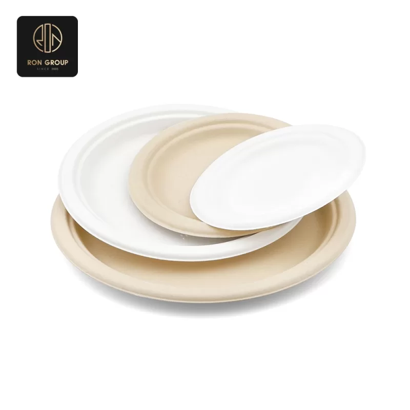 Sugarcane Pulp Paper Bowl Series C