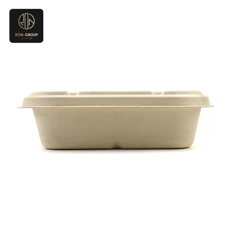 Sugarcane Pulp Box Series E