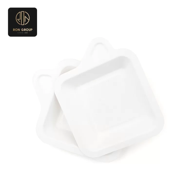 Sugarcane Pulp Box Series A
