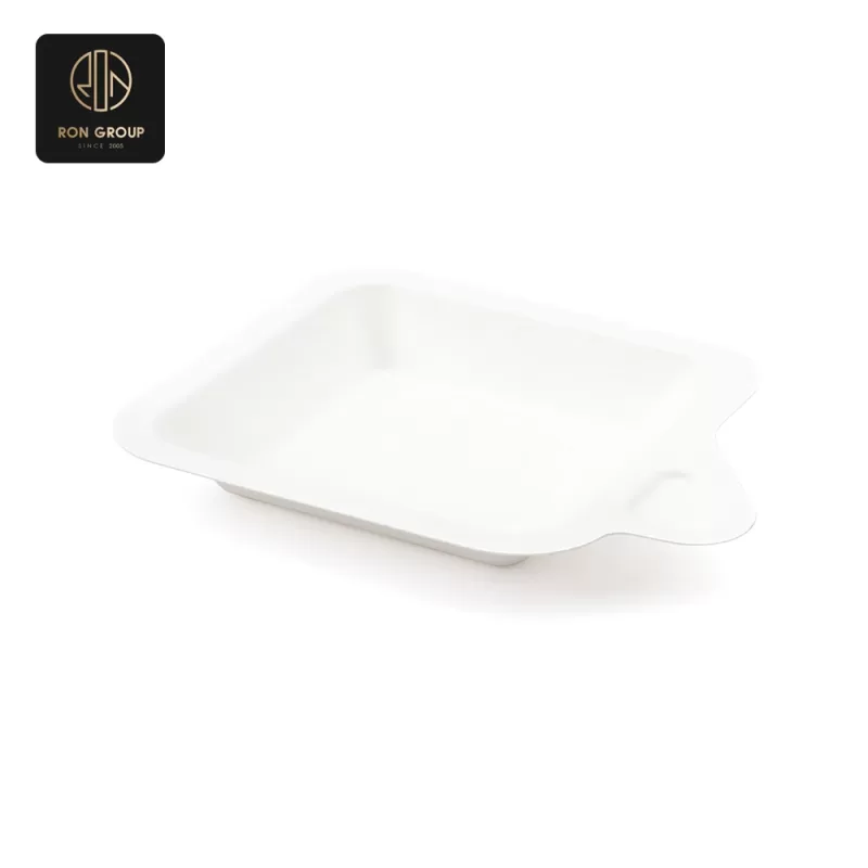 Sugarcane Pulp Box Series A