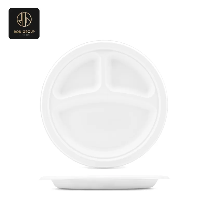 Sugarcane Pulp Paper Bowl Series D