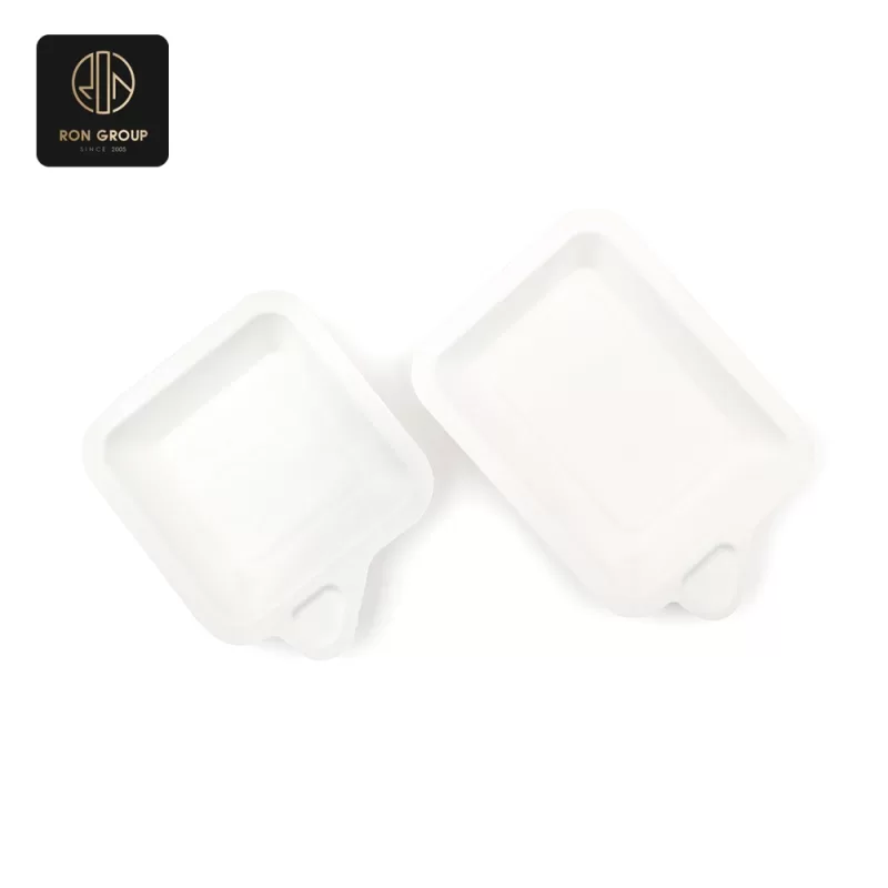 Sugarcane Pulp Box Series A