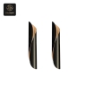 RON GROUP Minimalist Wall Lamp - Black and Gold Modern Lighting