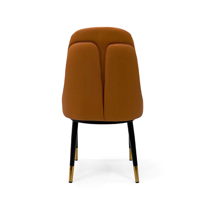 Modern Curve Series