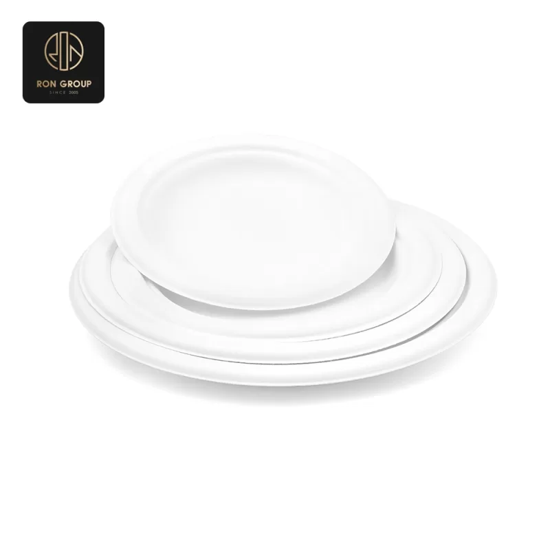 Sugarcane Pulp Paper Bowl Series C