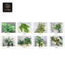 RON GROUP Green Plant Series - Assorted artificial plants for decor