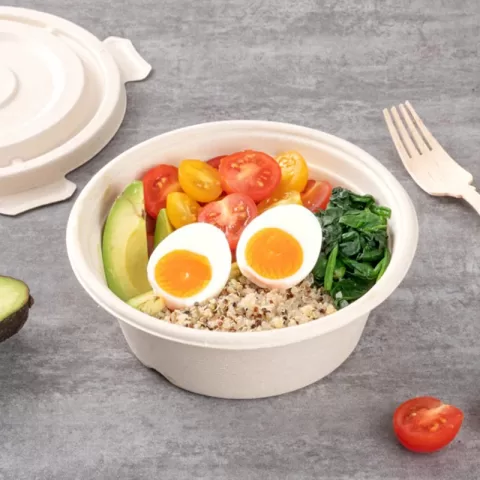 Sugarcane Pulp Tableware