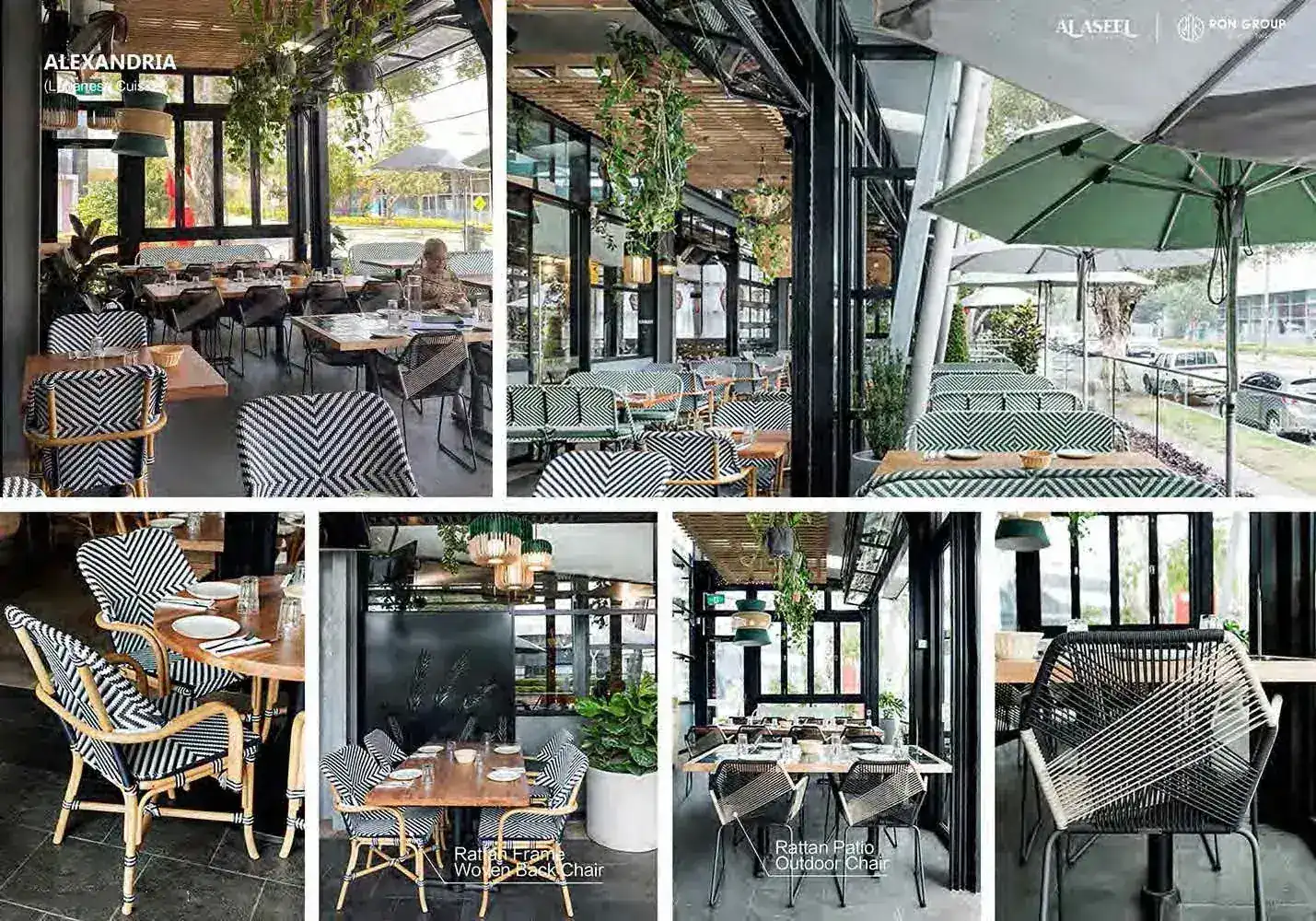 ALASEEL-CASE (7) ALASEEL-CASE (7)