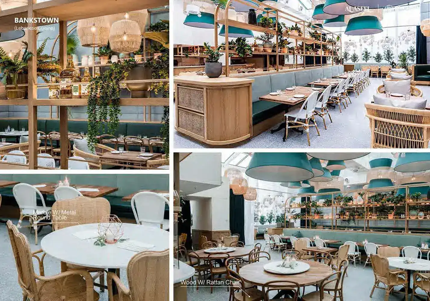 ALASEEL-CASE (9) ALASEEL-CASE (9)