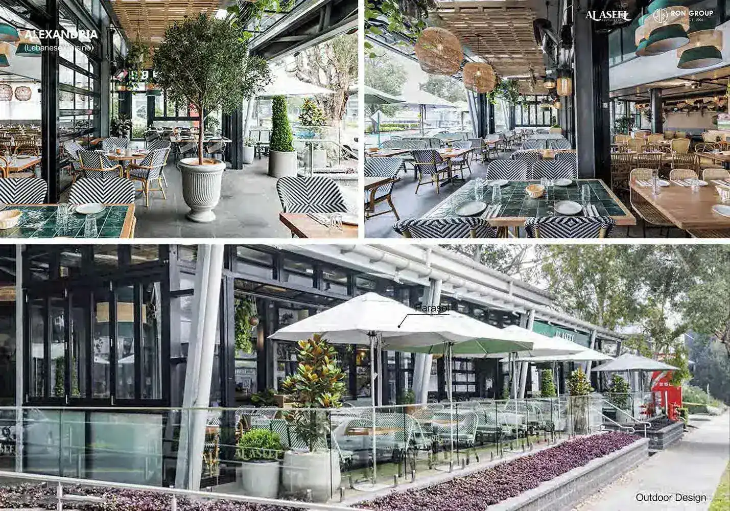 ALASEEL-CASE (6) ALASEEL-CASE (6)